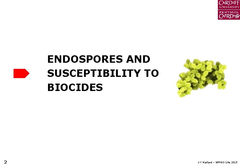 ENDOSPORES AND SUSCEPTIBILITY TO BIOCIDES 2 J-Y Maillard – WFHSS Lille 2015 