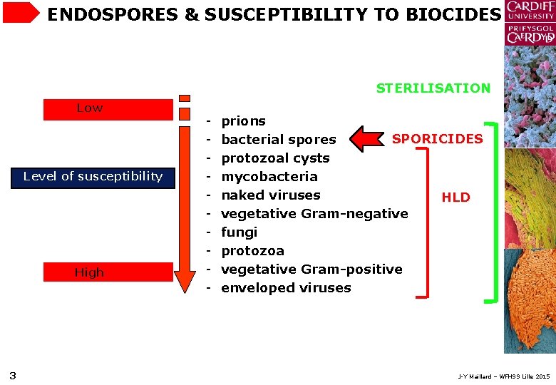 ENDOSPORES & SUSCEPTIBILITY TO BIOCIDES STERILISATION Low Level of susceptibility High 3 - prions