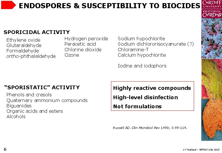 ENDOSPORES & SUSCEPTIBILITY TO BIOCIDES SPORICIDAL ACTIVITY Ethylene oxide Glutaraldehyde Formaldehyde ortho-phthalaldehyde Hydrogen peroxide
