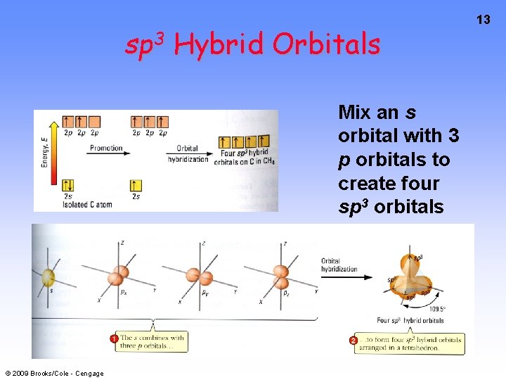 sp 3 Hybrid Orbitals Mix an s orbital with 3 p orbitals to create