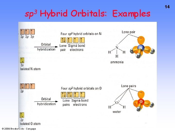sp 3 Hybrid Orbitals: Examples © 2009 Brooks/Cole - Cengage 14 