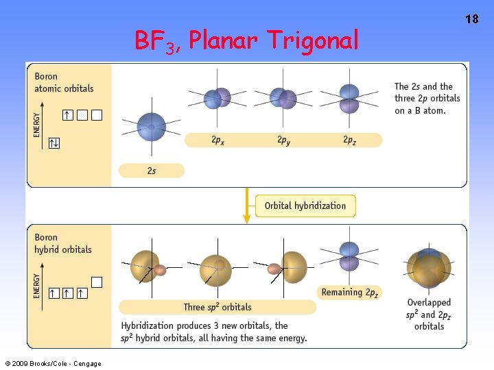 BF 3, Planar Trigonal © 2009 Brooks/Cole - Cengage 18 