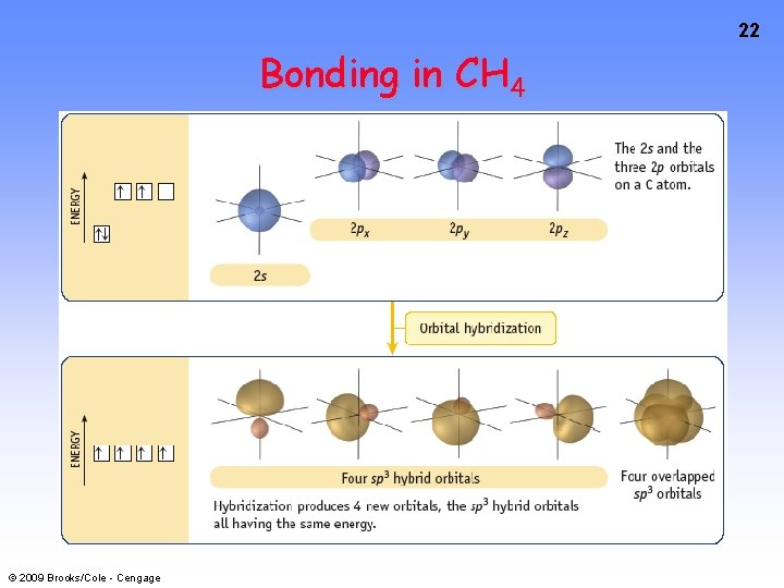 22 Bonding in CH 4 © 2009 Brooks/Cole - Cengage 