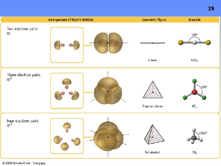 29 © 2009 Brooks/Cole - Cengage 