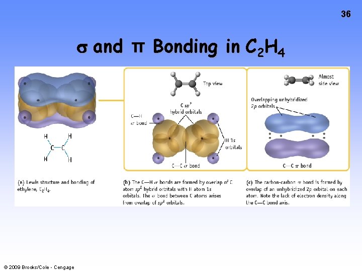 36 and π Bonding in C 2 H 4 © 2009 Brooks/Cole - Cengage