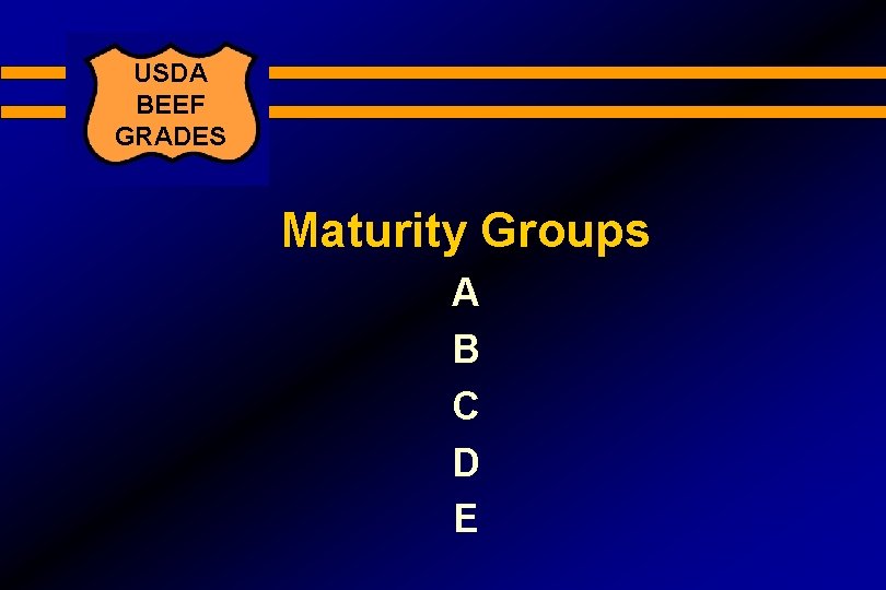 USDA BEEF GRADES Maturity Groups A B C D E 