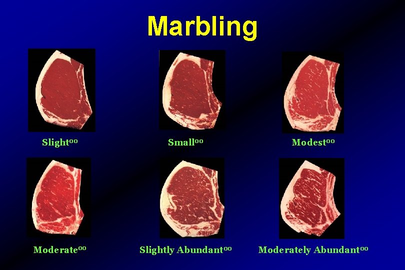 Marbling Slight 00 Small 00 Modest 00 Moderate 00 Slightly Abundant 00 Moderately Abundant