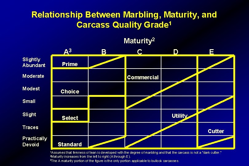 Relationship Between Marbling, Maturity, and Carcass Quality Grade 1 Maturity 2 A 3 Slightly