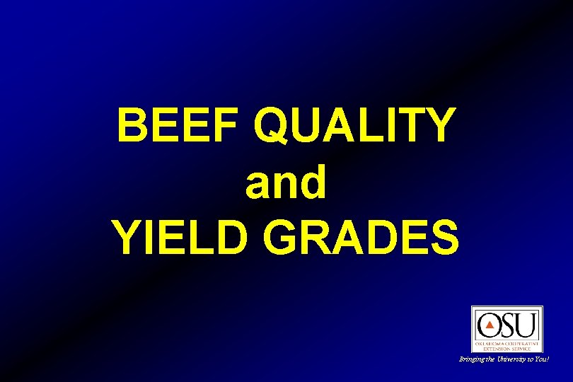 BEEF QUALITY and YIELD GRADES Bringing the University to You! 