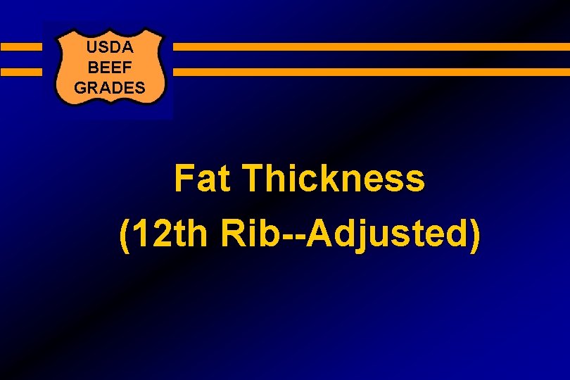 USDA BEEF GRADES Fat Thickness (12 th Rib--Adjusted) 