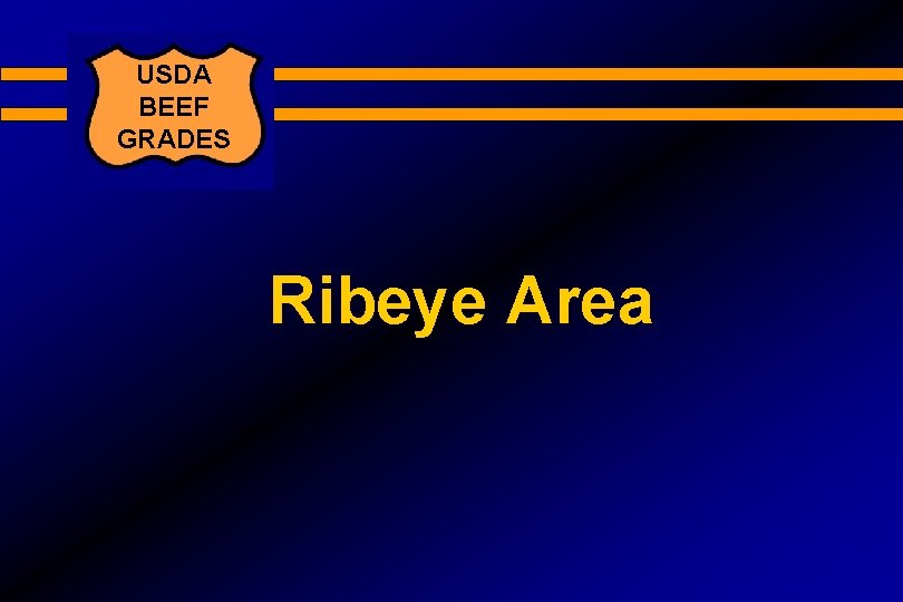 USDA BEEF GRADES Ribeye Area 