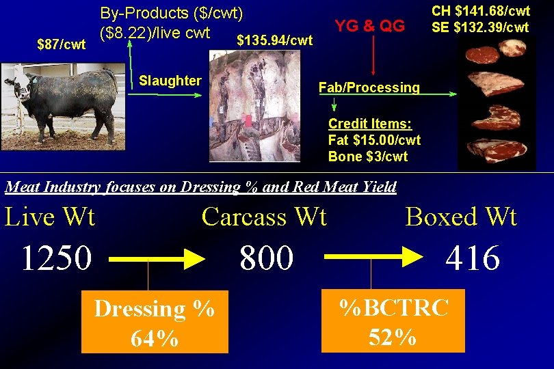 By-Products ($/cwt) ($8. 22)/live cwt $135. 94/cwt $87/cwt Slaughter CH $141. 68/cwt SE $132.