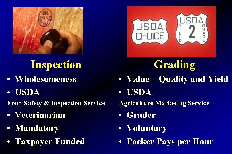 Inspection Grading • Wholesomeness • USDA • Value – Quality and Yield • USDA