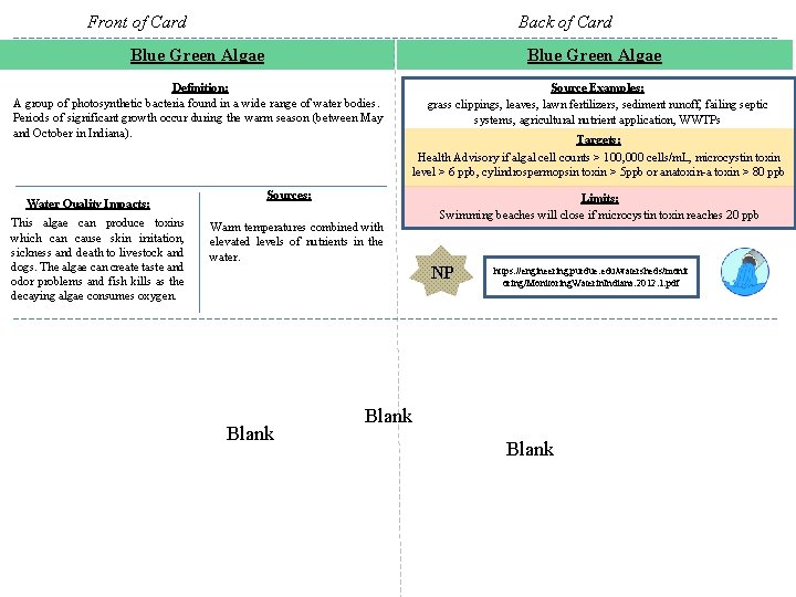 Front of Card Back of Card Blue Green Algae Definition: A group of photosynthetic