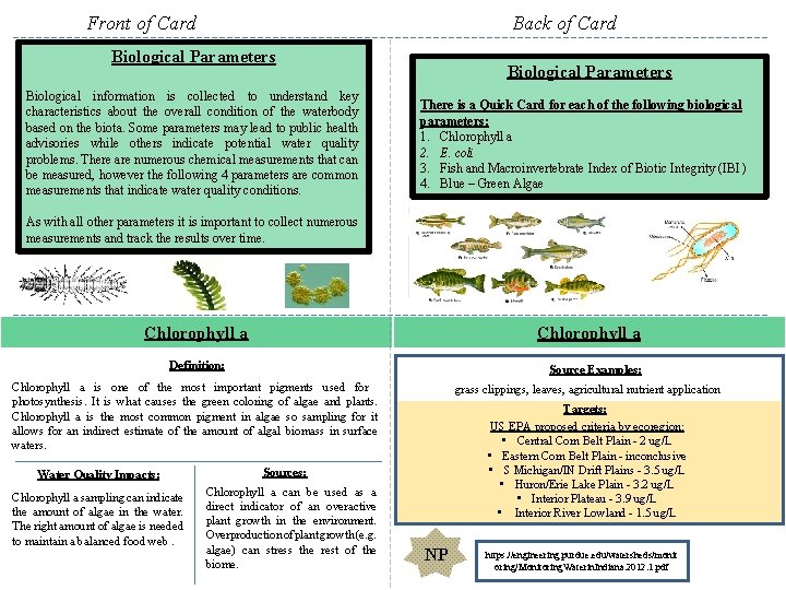 Front of Card Back of Card Biological Parameters Biological information is collected to understand