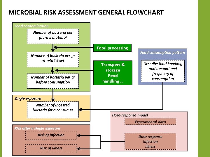 MICROBIAL RISK ASSESSMENT GENERAL FLOWCHART Food contamination Number of bacteria per gr, raw material