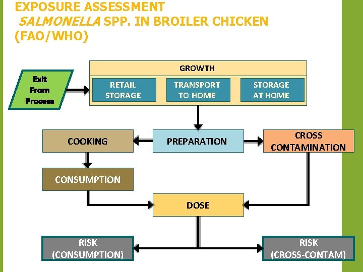 EXPOSURE ASSESSMENT SALMONELLA SPP. IN BROILER CHICKEN (FAO/WHO) Exit From Process GROWTH RETAIL STORAGE