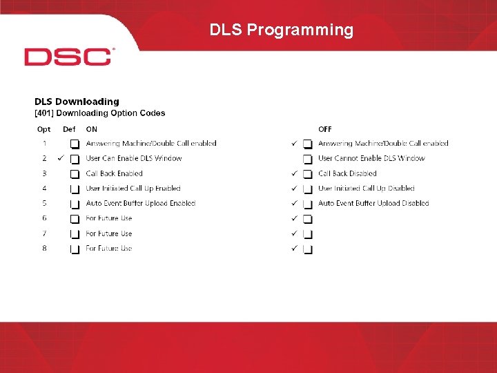 DLS Programming 