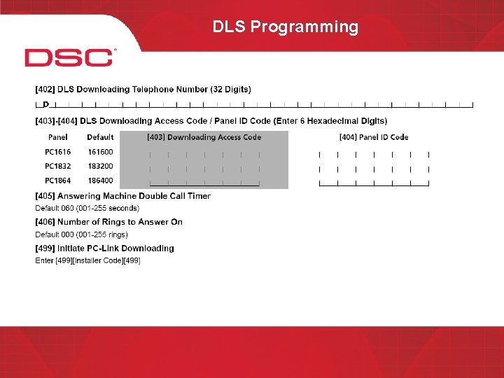 DLS Programming 
