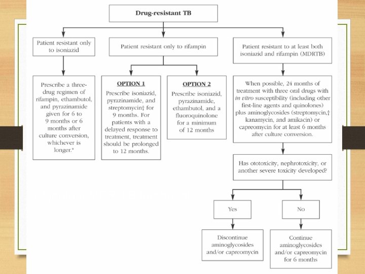 Algorithm MDR-TB treatment 