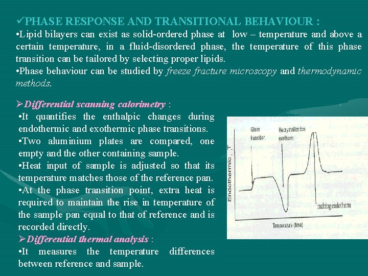 üPHASE RESPONSE AND TRANSITIONAL BEHAVIOUR : • Lipid bilayers can exist as solid-ordered phase