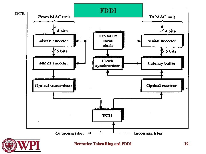 FDDI Networks: Token Ring and FDDI 19 