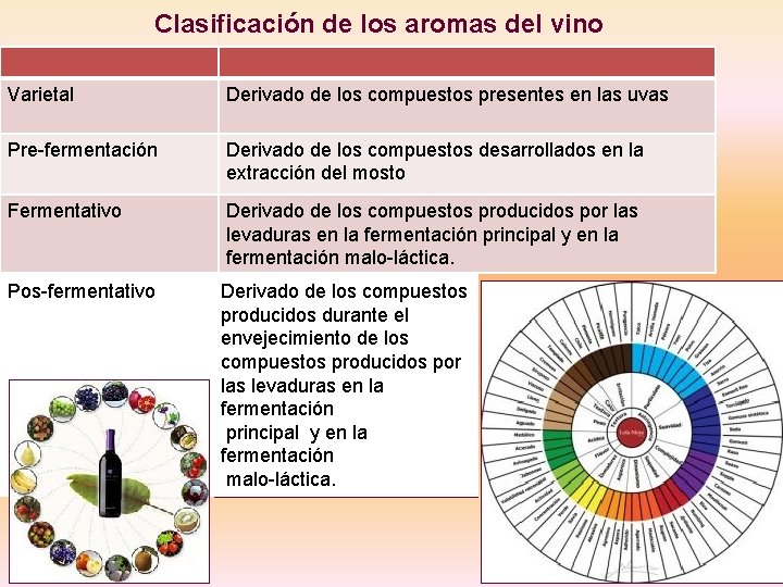 Clasificación de los aromas del vino Varietal Derivado de los compuestos presentes en las
