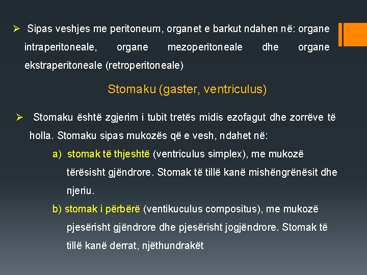 Ø Sipas veshjes me peritoneum, organet e barkut ndahen në: organe intraperitoneale, organe mezoperitoneale