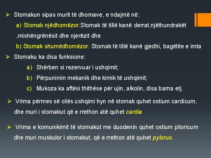 Ø Stomakun sipas murit të dhomave, e ndajmë në: a) Stomak njëdhomëzor. Stomak të