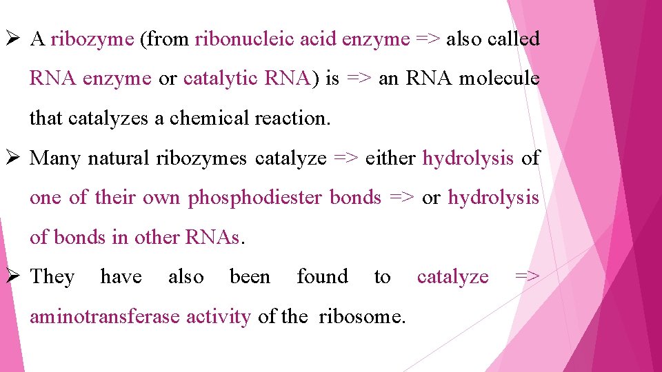 Ø A ribozyme (from ribonucleic acid enzyme => also called RNA enzyme or catalytic