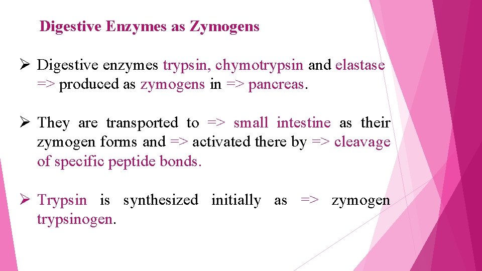 Digestive Enzymes as Zymogens Ø Digestive enzymes trypsin, chymotrypsin and elastase => produced as