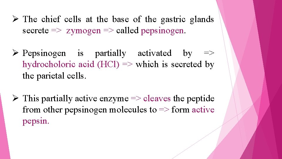 Ø The chief cells at the base of the gastric glands secrete => zymogen