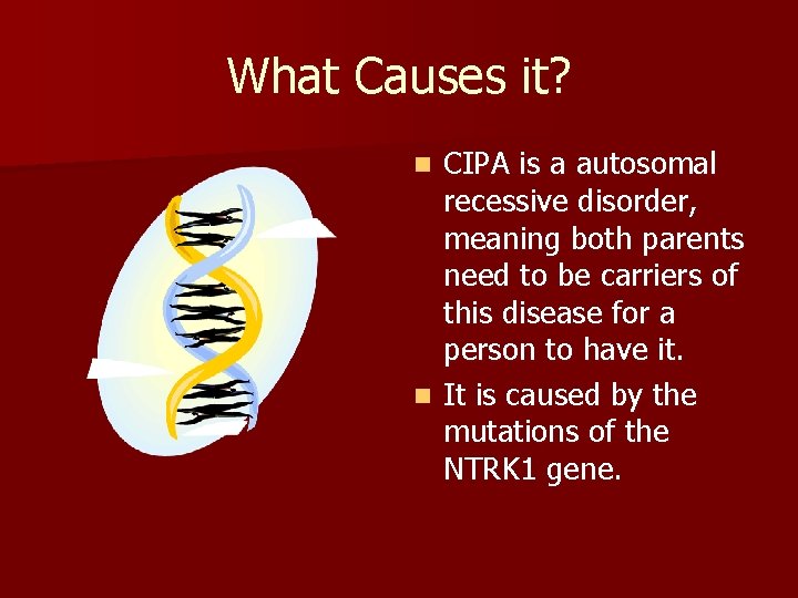 What Causes it? CIPA is a autosomal recessive disorder, meaning both parents need to