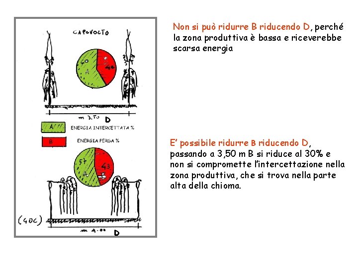 Non si può ridurre B riducendo D, perché la zona produttiva è bassa e