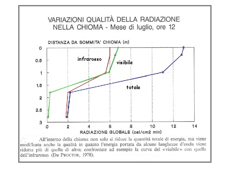 infrarosso visibile totale 