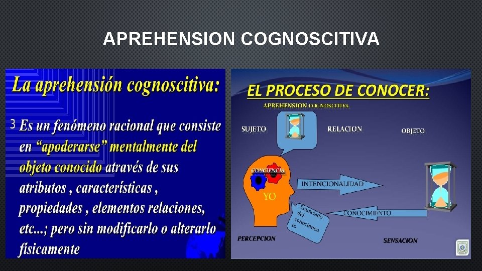 APREHENSION COGNOSCITIVA 