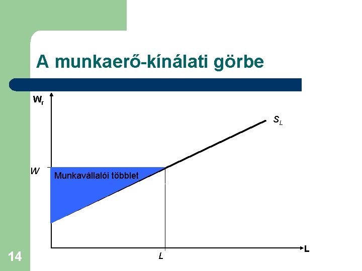 A munkaerő-kínálati görbe Wr SL W 14 Munkavállalói többlet L L 