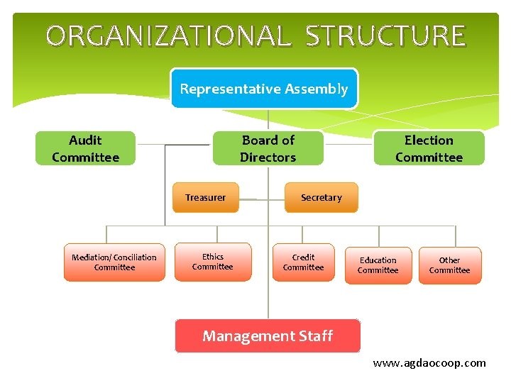 ORGANIZATIONAL STRUCTURE Representative Assembly Audit Committee Board of Directors Treasurer Mediation/ Conciliation Committee Ethics