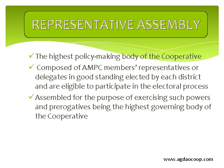 REPRESENTATIVE ASSEMBLY ü The highest policy-making body of the Cooperative ü Composed of AMPC
