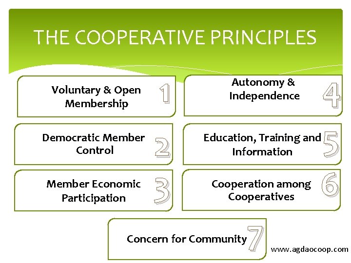 THE COOPERATIVE PRINCIPLES Voluntary & Open Membership Democratic Member Control Member Economic Participation 1