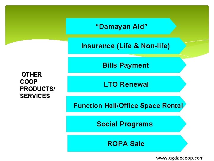 “Damayan Aid” Insurance (Life & Non-life) Bills Payment OTHER COOP PRODUCTS/ SERVICES LTO Renewal