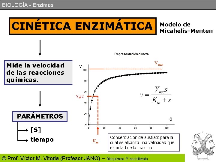 BIOLOGÍA - Enzimas CINÉTICA ENZIMÁTICA Modelo de Micahelis-Menten Vmax Mide la velocidad de las