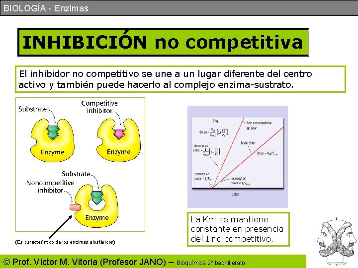 BIOLOGÍA - Enzimas INHIBICIÓN no competitiva El inhibidor no competitivo se une a un