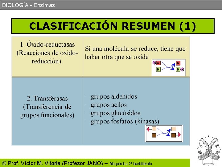 BIOLOGÍA - Enzimas CLASIFICACIÓN RESUMEN (1) © Prof. Víctor M. Vitoria (Profesor JANO) –