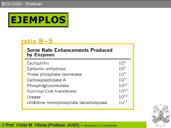 BIOLOGÍA - Enzimas EJEMPLOS © Prof. Víctor M. Vitoria (Profesor JANO) – Bioquímica 2º BIOLOGÍA - Enzimas EJEMPLOS © Prof. Víctor M. Vitoria (Profesor JANO) – Bioquímica 2º