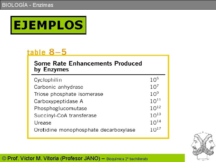 BIOLOGÍA - Enzimas EJEMPLOS © Prof. Víctor M. Vitoria (Profesor JANO) – Bioquímica 2º