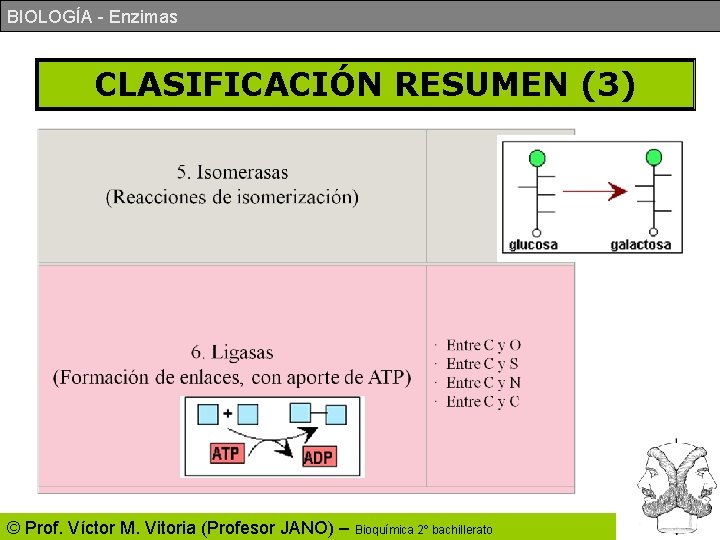 BIOLOGÍA - Enzimas CLASIFICACIÓN RESUMEN (3) © Prof. Víctor M. Vitoria (Profesor JANO) – BIOLOGÍA - Enzimas CLASIFICACIÓN RESUMEN (3) © Prof. Víctor M. Vitoria (Profesor JANO) –