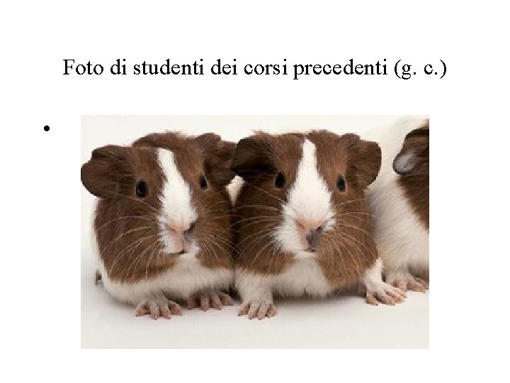 Foto di studenti dei corsi precedenti (g. c. ) • 