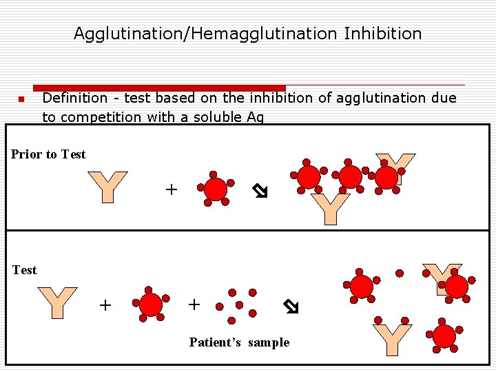 Agglutination/Hemagglutination Inhibition n Definition - test based on the inhibition of agglutination due to