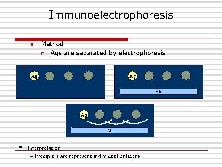Immunoelectrophoresis n + Method o Ags are separated by electrophoresis - Ag Ag Ab